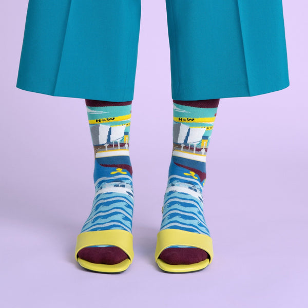 belfast sock sock coop