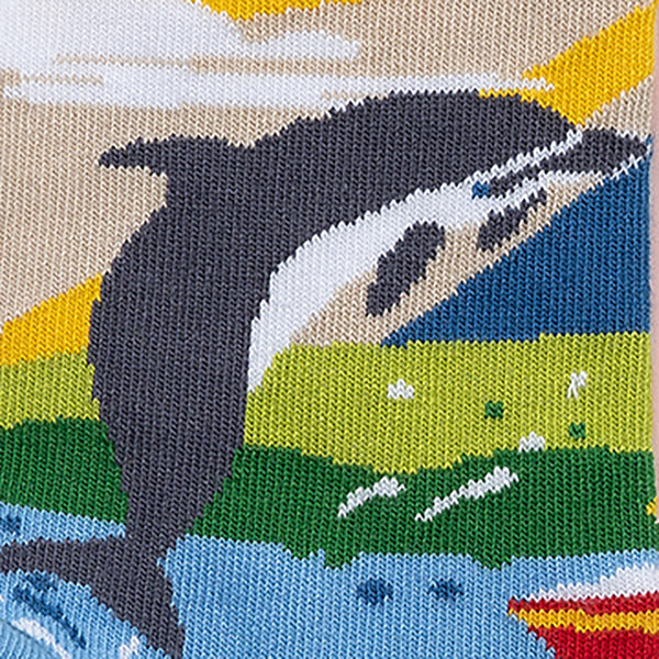 MULTICOLOURED IRISH SOCK OF DINGLE DOLPHIN FUNGIE, CO.KERRY, BY SOCK CO OP